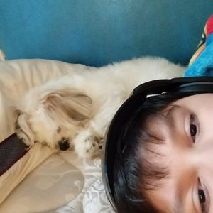 Meet your Posher, Johnathan